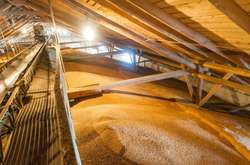 «Державна продовольчо-зернова корпорація України» знаходиться в управлінні Мінекономіки