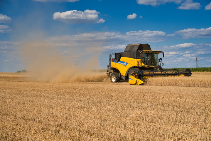 Зерновая госкорпорация за девять месяцев получила 328 млн грн убытков 