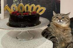  Після публікації Брітні Спірс за добу на Степана підписалися 13-15 тисяч людей з усього світу 