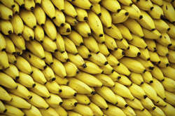 Із Нового року слід чекати й нові ціни на банани