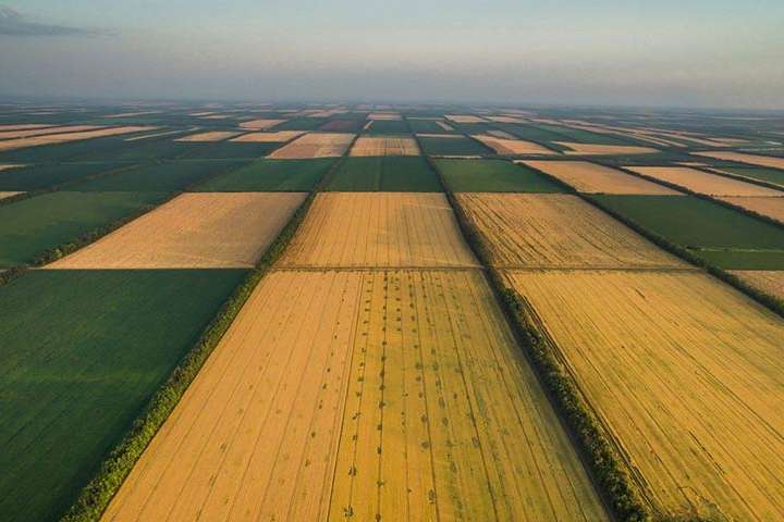 Сільськогосподарська земля у Євросоюзі та Україні: вражаюча різниця цін