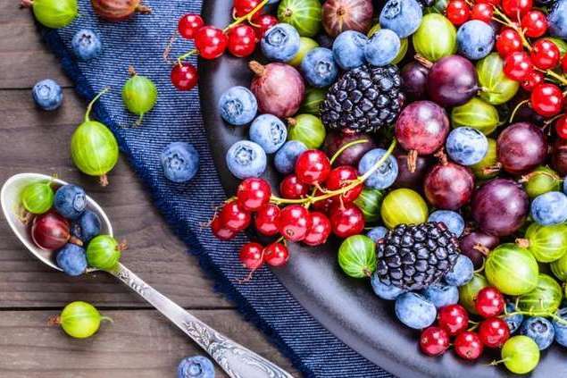 Експерт повідомив, які ягоди та фрукти вигідно вирощувати в Україні 
