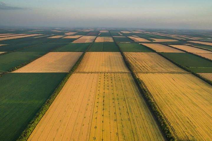 Сельскохозяйственная земля в Евросоюзе и Украине: впечатляющая разница