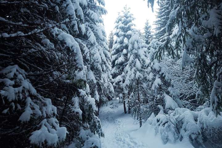 Сьогодні Україну чекають температурні контрасти: прогноз погоди на 8 грудня