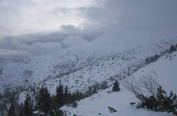 Карпати продовжує засипати снігом: туристів попереджають про лавинну небезпеку