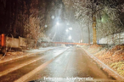 Дерево звалилося просто на вулицю і обірвало дроти