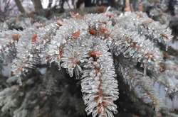 Київ перетворився на крижаний палац Снігової королеви: фантастичні фото