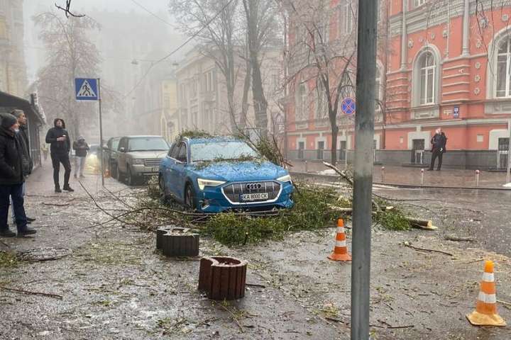 У центрі Києва гілка під вагою льоду рухнула на автівку (фото)