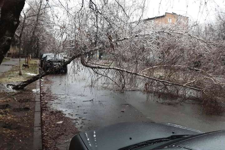 Київ у крижаному полоні. Ваги льоду не витримали понад 700 дерев (фото) 