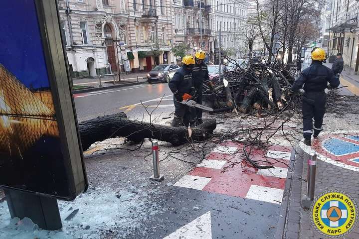 Наслідки крижаного дощу в Києві: рятувальники прибрали десять повалених дерев  