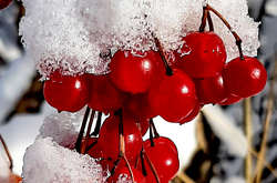 Найтепліше сьогодні буде на півдні країни