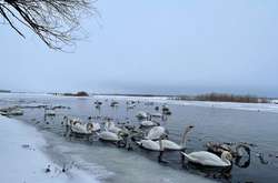 12 грудня буде з опадами, однак без морозів