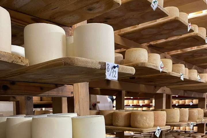 Мешканці Закарпаття виготовляють сир за швейцарською технологією