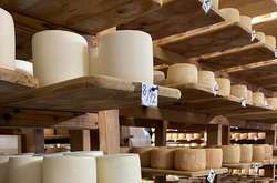 Асортимент сироварні складається з чотирьох видів сиру