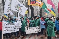 Под Раду снова вышли антивакцинаторы и предприниматели (фото)