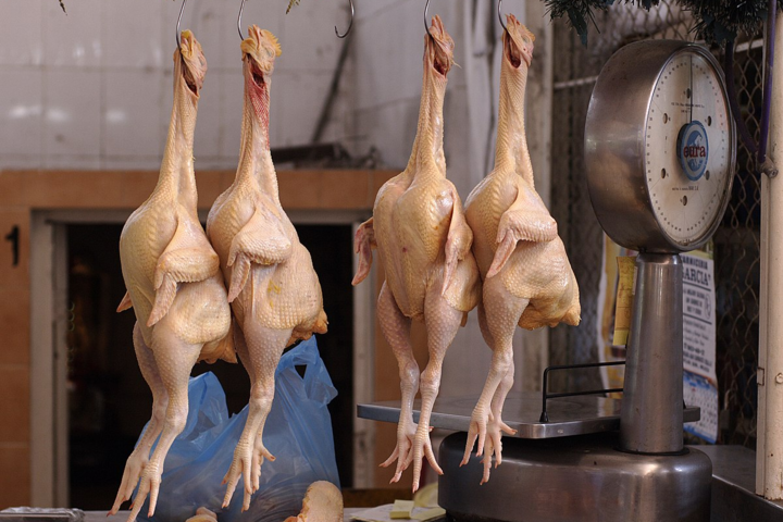 Украинцев предупредили о курятине с сальмонеллой 