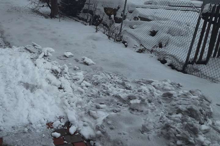 На Івано-Франківщині випав «чорний» сніг (фото)