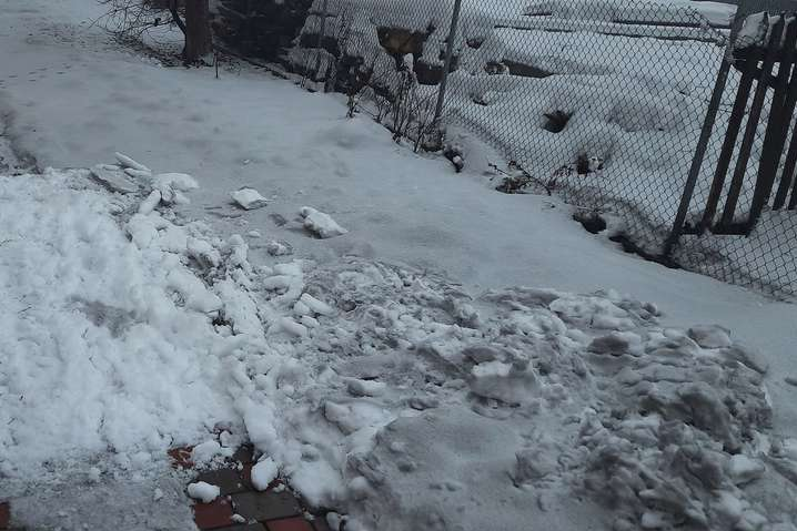 В Ивано-Франковской области выпал «черный» снег (фото)