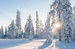  З понеділка денна температура повітря сягатиме -9 градусів, а нічна -14 градусів 