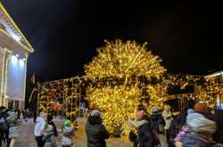 Ялинкопад в Україні: вже у чотирьох містах дерева не достояли до Нового року