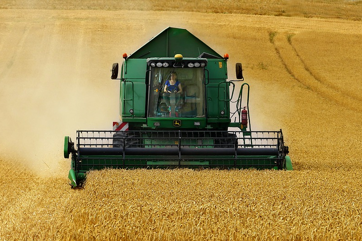 В Украине зерновых и зернобобовых в этом году собрано более 84 млн тонн - Украина собрала рекордный за 30 лет урожай