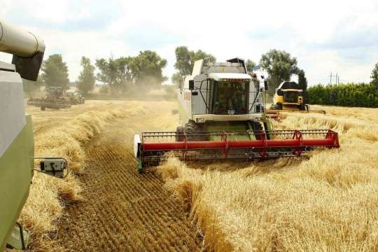 Україна зібрала рекордний за 30 років врожай
