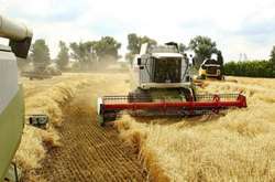 Україна зібрала рекордний за 30 років врожай