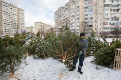 21 грудня комунальники демонтували дев’ять незаконних локацій з продажу ялинок