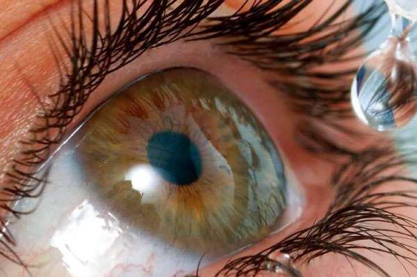  Учені створили краплі для очей, здатні замінити окуляри: скільки вони коштують