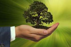 Бізнес активно долучився до формування екологічної програми: заява Федерації роботодавців