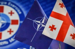  Грузия считается страной-аспирантом НАТО, но пока не получила «план действий по членству» 