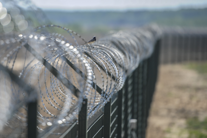 Польша допускает строительство стены на границе с Украиной