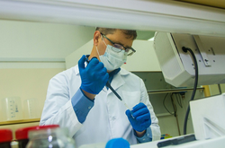  Препарат разработала израильская биотехнологическая компания Amorphical 