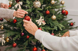 Будь-який тип ялинки є екологічним при правильній експлуатації