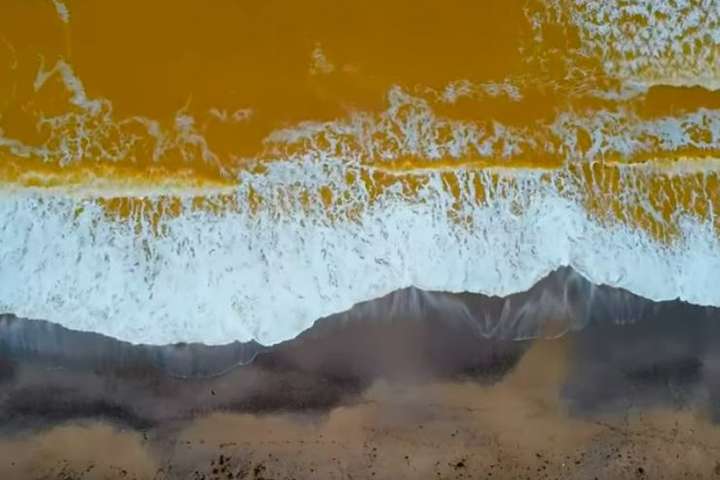 У Криму море забарвилося у жовтий колір (відео)
