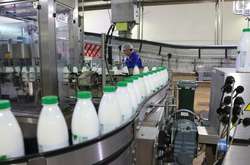 Виробники молочної продукції б'ють на сполох: через значні збитки підприємства на межі припинення виробництва