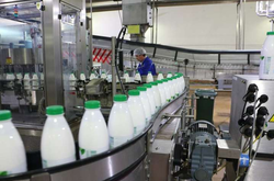  Производители молочной продукции бьют тревогу: из-за значительных убытков предприятия на грани прекращения производства 