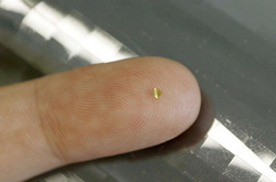  В России лицам без гражданства выдадут удостоверение в виде карты с чипом и биометрией 