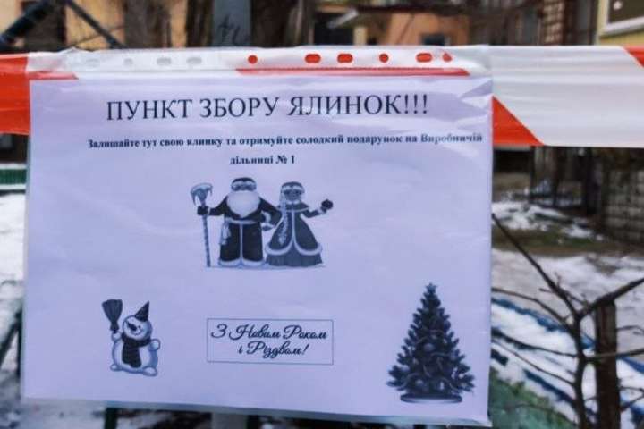 В Одесі використані новорічні ялинки мінятимуть на солодощі