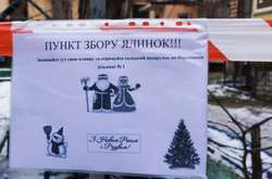 В Одесі використані новорічні ялинки мінятимуть на солодощі