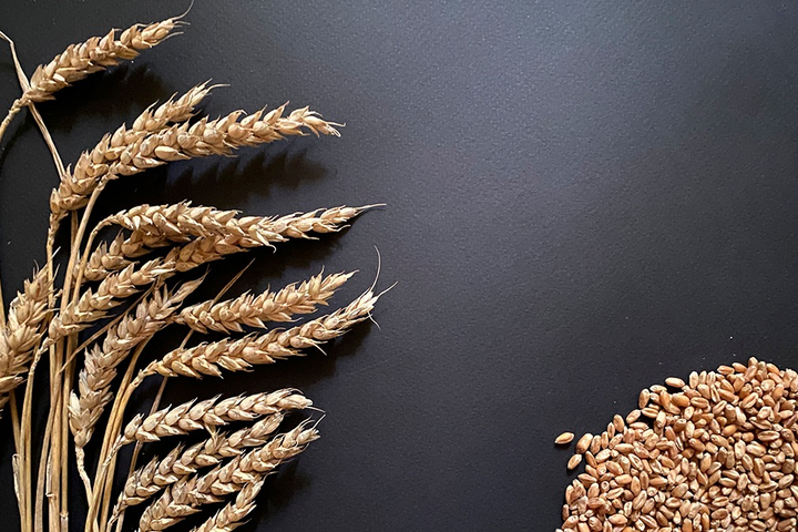 Китай закупил больше половины всей пшеницы мира