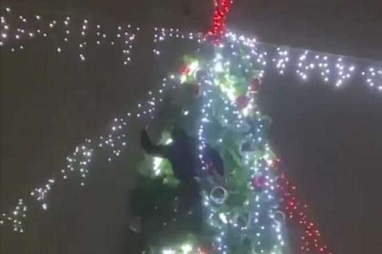 У Кривому Розі чоловік виліз на новорічну ялинку і не міг злізти (відео)