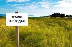 На кінець року в Україні продано майже 200 тис. га сільгоспземель