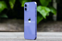 Apple остановила производство iPhone на одном из заводов. Названы причины