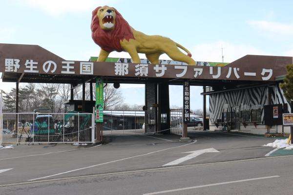 У Японії тигр покусав трьох працівників сафарі-парку