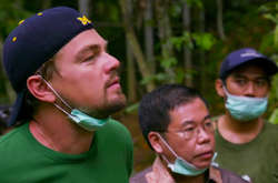 Британські вчені назвали на честь Ді Капріо новий вид дерев (фото)