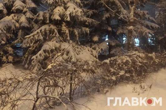 На початку тижня по всій території України погіршаться погодні умови - Рятувальники попереджають: погода значно погіршиться