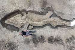 Археологи знайшли рештки «морського дракона», яким понад 180 млн років (фото)