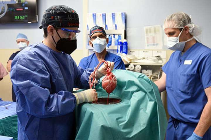 Американські хірурги вперше пересадили людині серце свині: відео