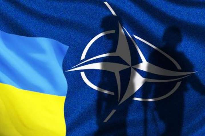 Объявление Украины &laquo;страной НАТО+&raquo; облегчит оказание помощи&nbsp;безопасности в случае военной агрессии - Конгрессмены предлагают объявить Украину «страной НАТО+»: что это значит